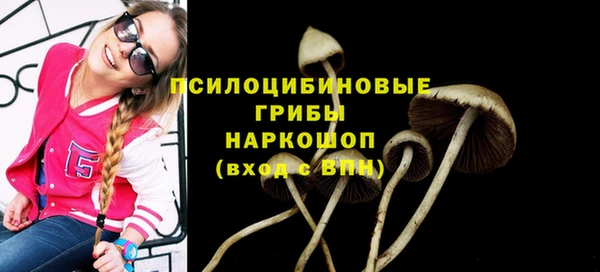 стафф Заволжье