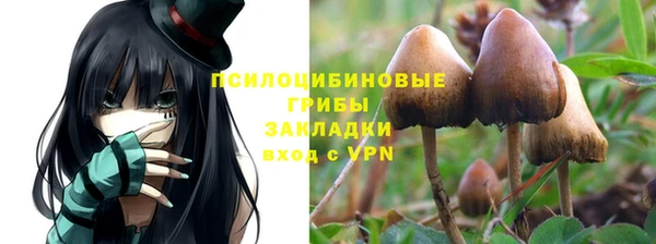 стафф Заволжье