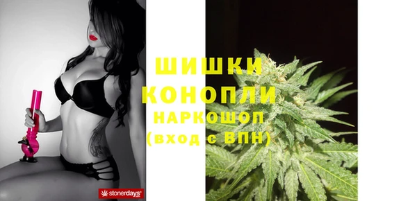 стафф Заволжье