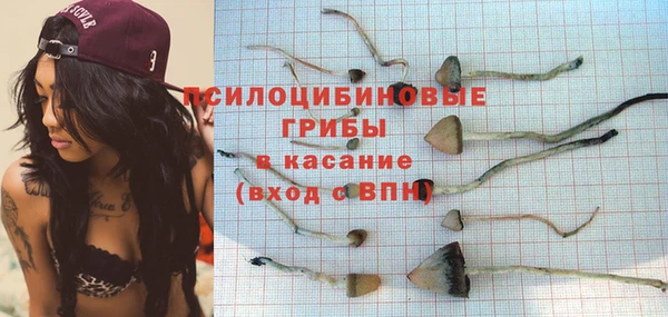 стафф Заволжье