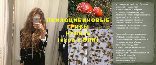 стафф Заволжье